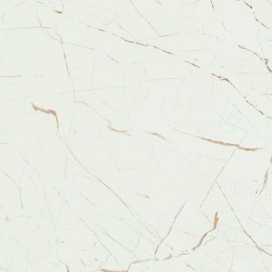 Gạch lát sàn Trường Thịnh BURGUNDY 1E3025DG